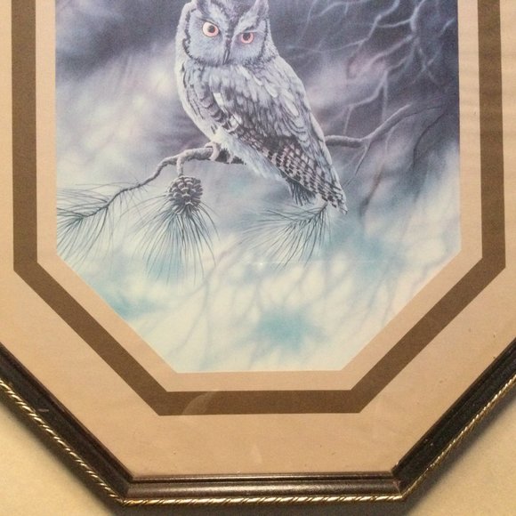 Owl print with octagon frame wall decor - Picture 4 of 5